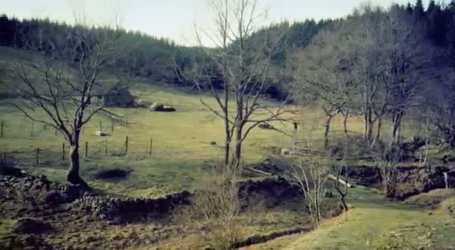 A Farm For The Future