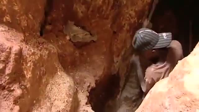 Blood Coltan