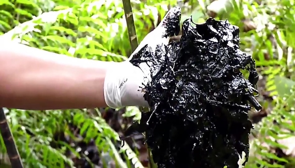 Chevron vs. The Amazon