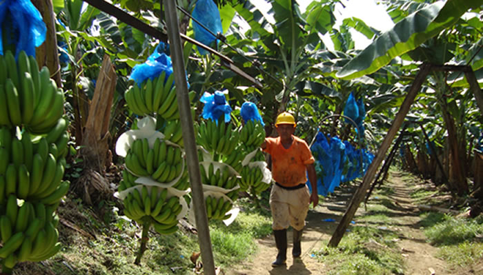 Corporations On Trial