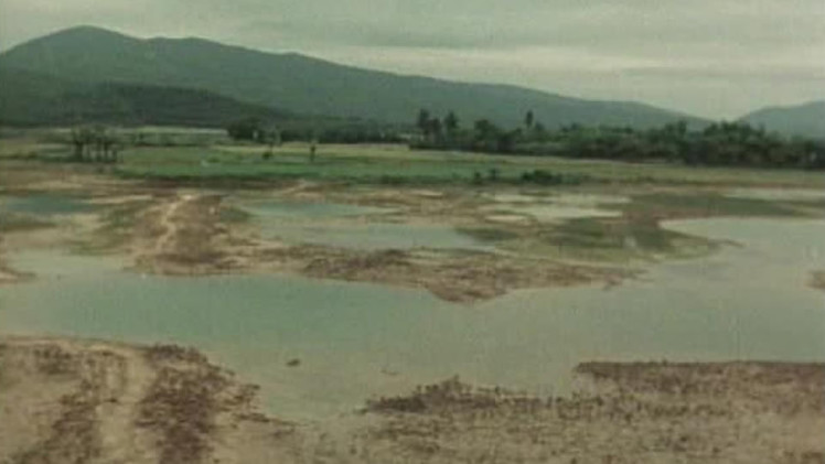 Do You Remember Vietnam?