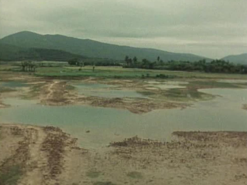 Do You Remember Vietnam?