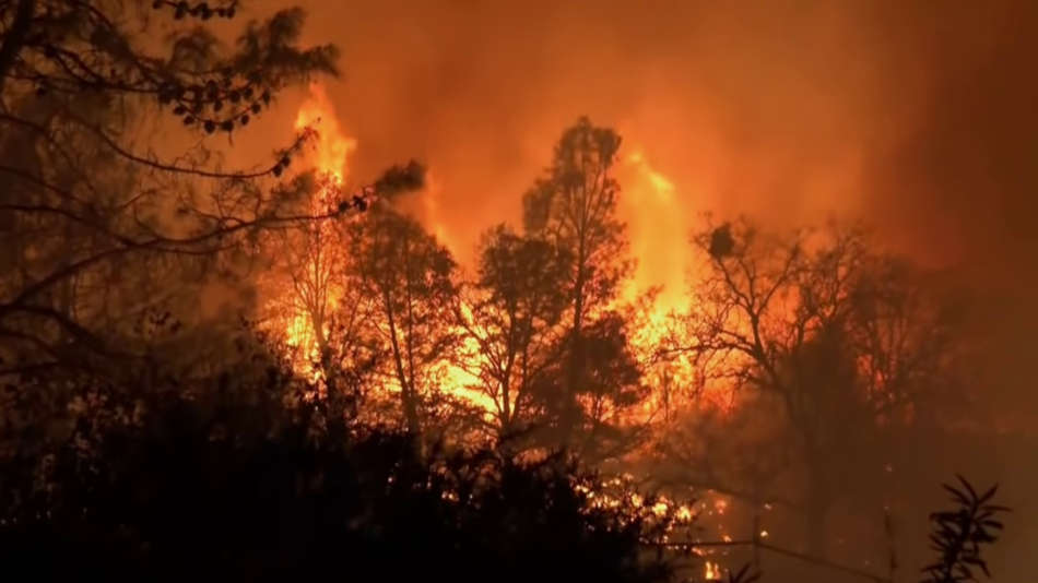 Fire in Paradise