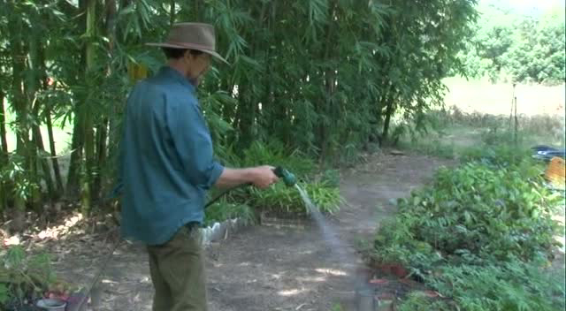 Introduction to Permaculture