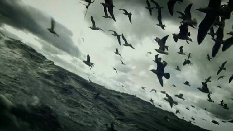 Leviathan