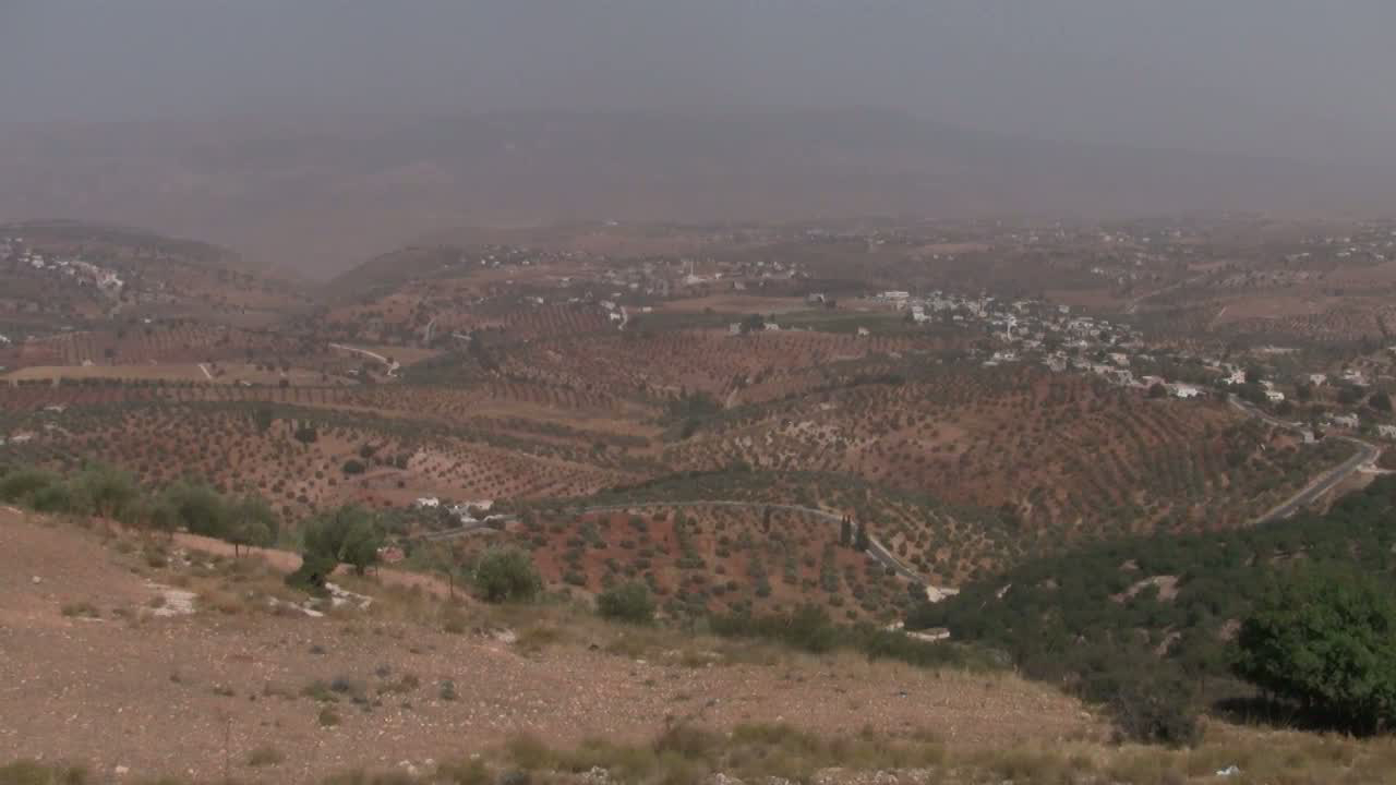 Greening The Desert