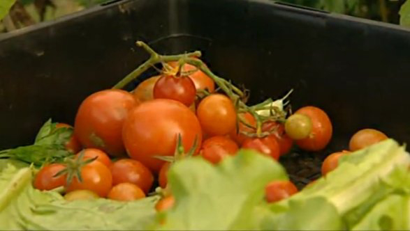 Permaculture, Gardening Australia