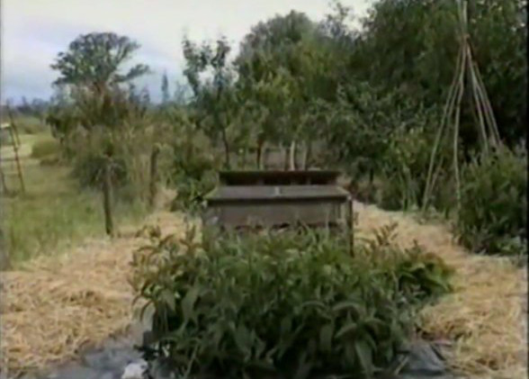 Permaculture In Practice Permaculture In Practice