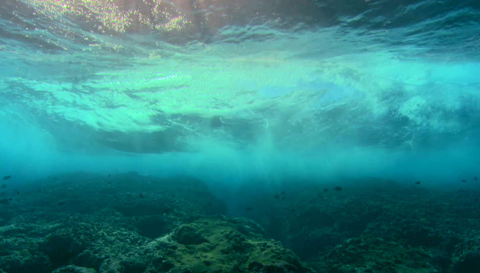 Sea of Life