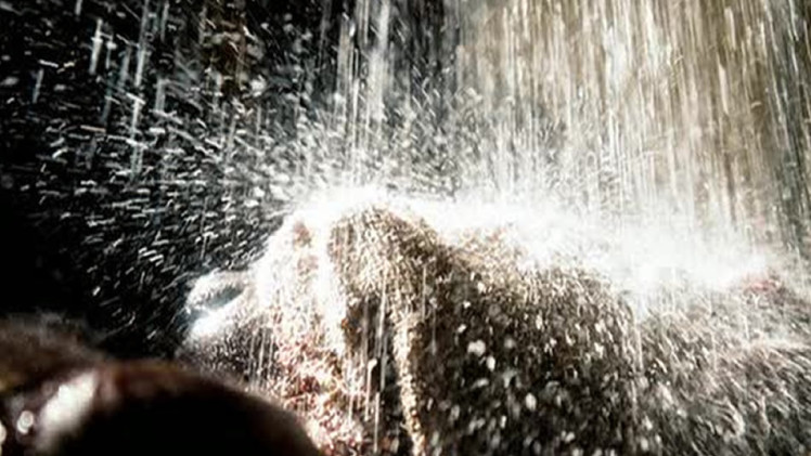 Standard Operating Procedure