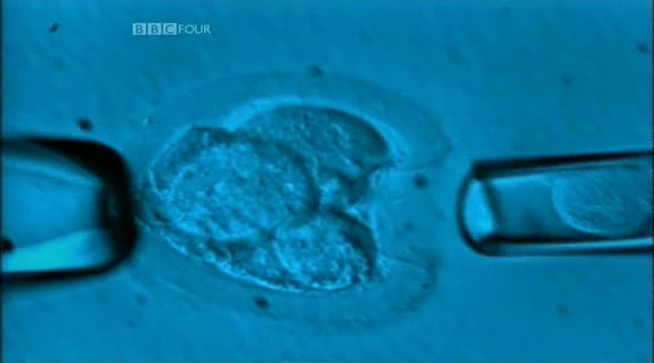 The Biotech Revolution