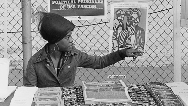 The Black Panthers