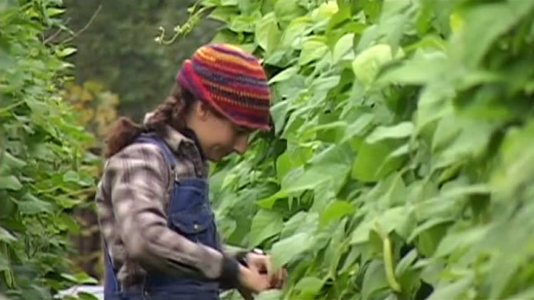 The Economics of Happiness