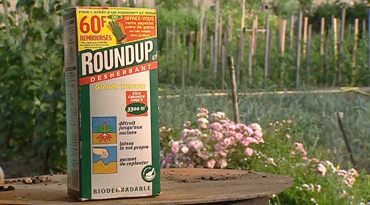 The World According to Monsanto