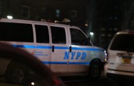 NYPD: Biggest Gang In New York